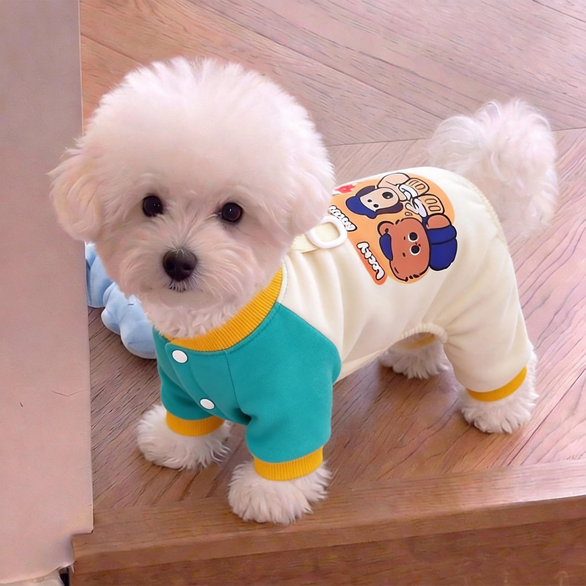 狗狗衣服秋冬保暖可牵引四脚衣