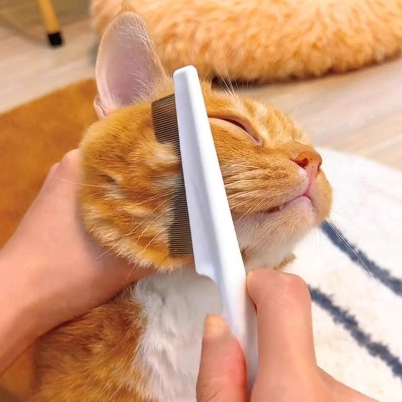 清洁幼猫银渐层去浮毛除蚤密齿梳