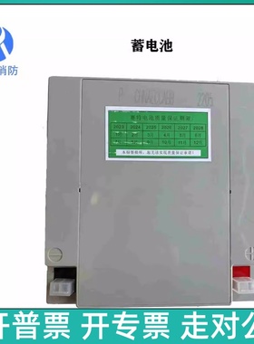 蓄电池 上海松江飞繁云安JB-9108A/3208G/3208B/9108DBA主机备电