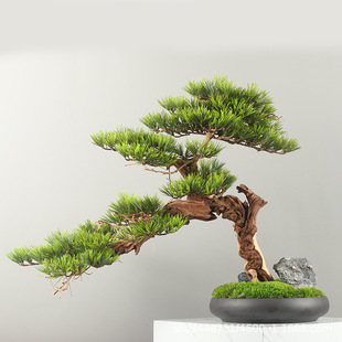 极速新中式迎客松酒店玄光处松树B摆件样品屋展示中心仿真绿色植