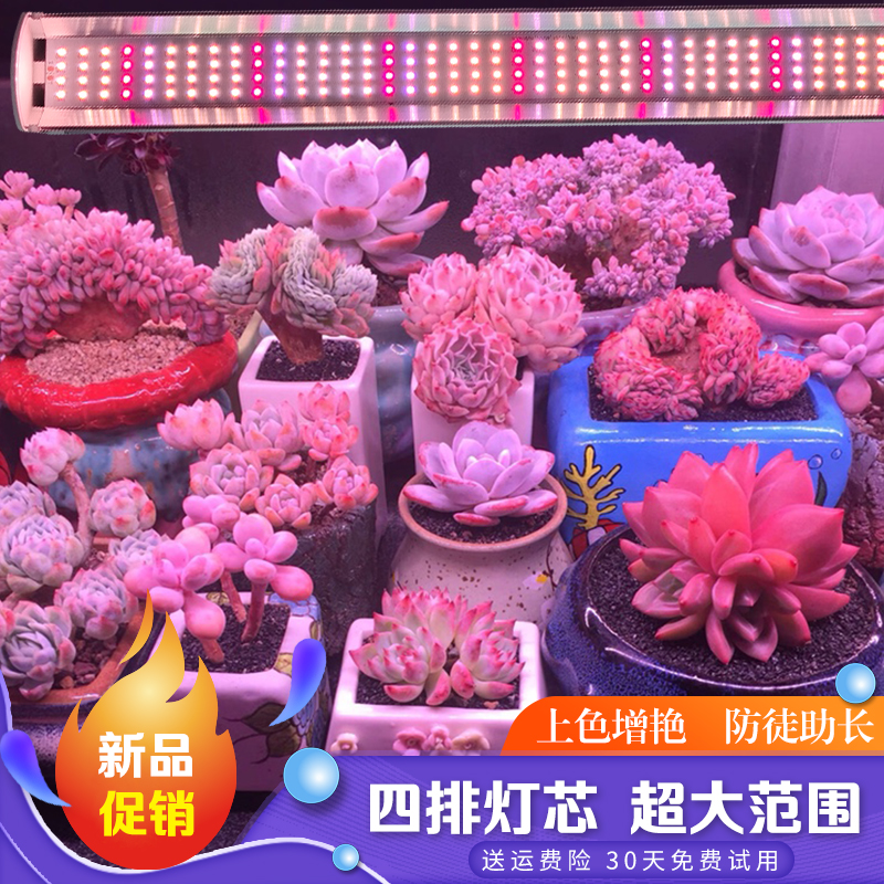 极速多肉补光灯室内家用上色防徒长全光谱仿O太阳光灯排花卉植物