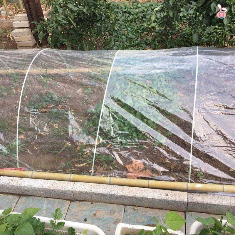 极速玻璃钢弹力棒4/5/6/7/8mm50条农用插秧拱棚菜棚Y花卉育苗支架,农机/农具/农膜,温室大棚支架,淘宝优惠券,粉丝福利购,淘宝优惠卷