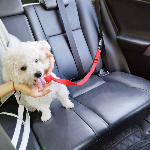 极速Solid Two-in-one Pet Car Seat BeGlt Lead Leash BackSeat