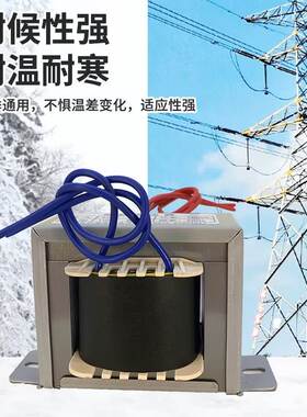 极速定做自耦电源变压器2n20V转110V/100V380转220V/110V进口电器