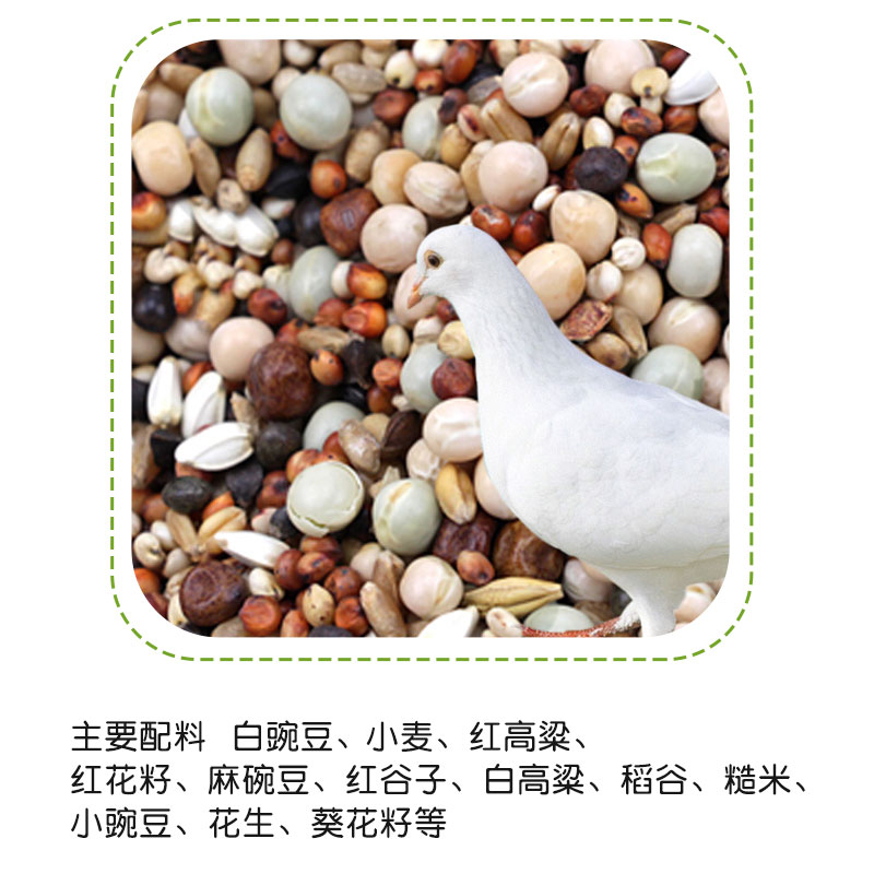 极速鸽粮5斤鸽子饲料50鸟食信鸽A幼鸽高粱小麦谷子无玉米鸽子粮包