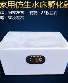 极速新新品厂销新品水床孵r化机家用型鸡鸭鹅孵化y器55枚小型9M0