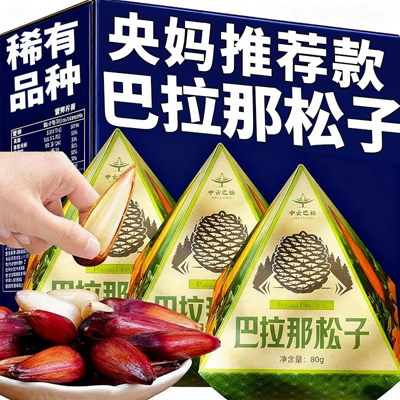 央妈推荐云南巴拉那松子拇指大松子云南大松子巴西松子巴拉纳松