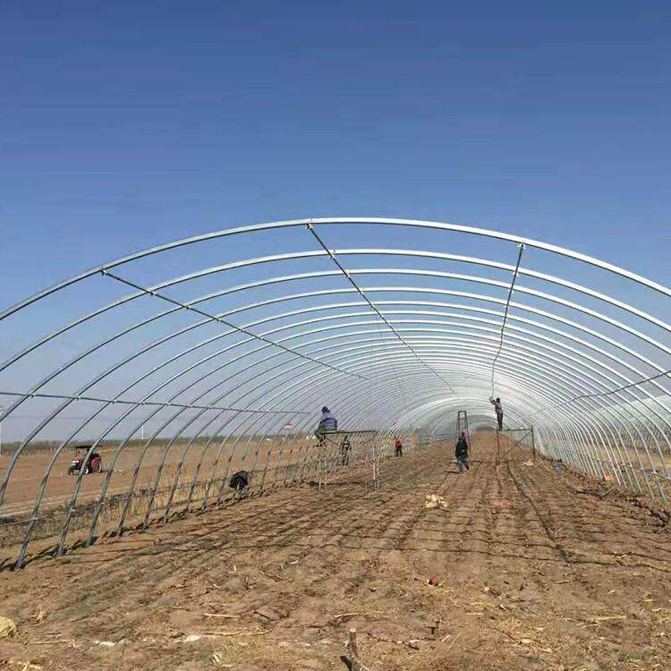 养殖大棚骨架加工动物过冬保温大棚椭圆管方管大跨度养羊养牛大棚