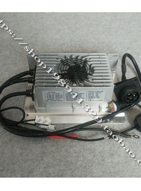 时风电动汽车轿车D101D102充电器前驱后驱车载充电器60V30A带插座