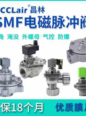 SMF-Z-20/15直角ZM-25脉冲阀35P淹没Y-40S/50S/62S/76S/89S/45DD
