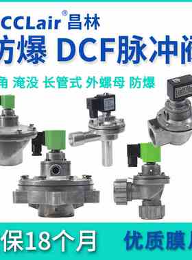 4直角76S淹没102S脉冲阀DCF-F-Z-ZM-Y-20/25防爆40S/50S/62S-2L-B