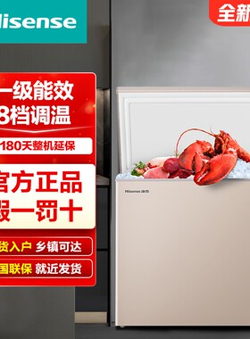 海信冰柜145L冷冻冷藏柜家商节能保鲜冷冻雪糕柜低噪BD/BC-145NUD