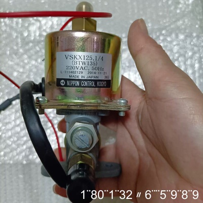 电磁泵VSKX125，220V