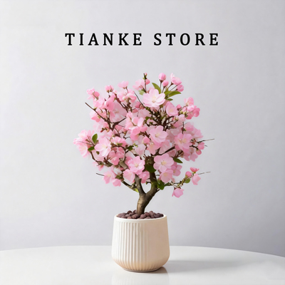 【带花苞发货】带盆栽好海棠花