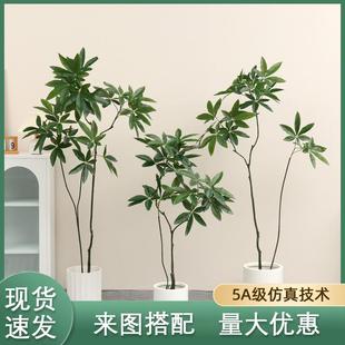 仿真百财树北欧落地仿真绿植摆设高端室内装 饰仿生发财树盆栽
