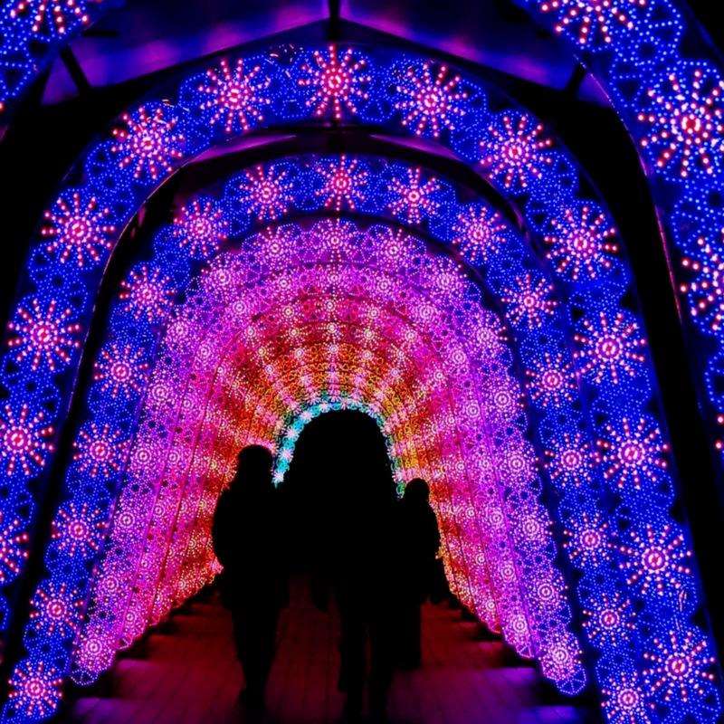 大型户外灯组灯光节景区亮化美陈LED动态生命树梦幻节动物造型