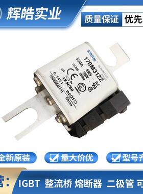 170M3142 170M3144 170M3189 熔断器 熔断器配件 电子元器件