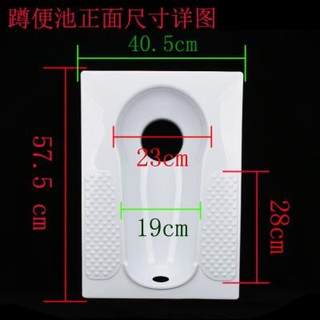 厕所盖板蹲坑盖加厚台式便器家用盆防臭马桶带池子翻一体有的卫生