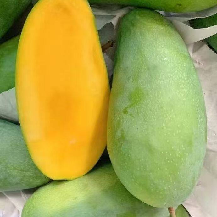 越南进口大青芒脆甜金煌芒生熟两吃批发新鲜当季热带孕妈水果包邮