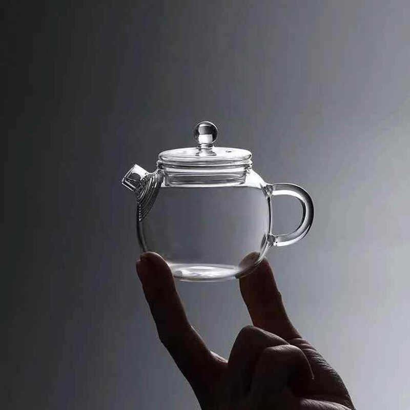 玻璃小壶小巨轮家用养生泡茶壶喝茶玻璃带盖壶花茶绿茶壶中式精致