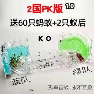 PK版 蚂蚁城堡宠物蚁巢庄园家园王国窝送2群蚁后 蚂蚁工坊 新对战版
