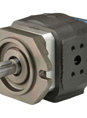 油泵EIPS2-022RB04-n10 EIPS2-022RB04-11 EIPS2-019RA34-12S111