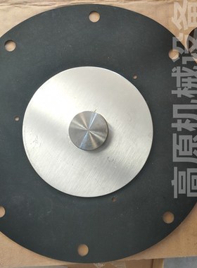 WSP-EB-76S WqSP-EB-90 3寸淹没式脉冲阀 脉冲阀膜片