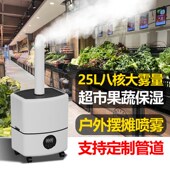 工业加湿器大雾量蔬菜保鲜展示柜大容量H商用车间仓库防静电喷雾