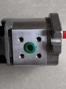 齿轮油泵CBW-F204 CoBW-F205 CBW-F206 CBW-F202 AFP/ALP