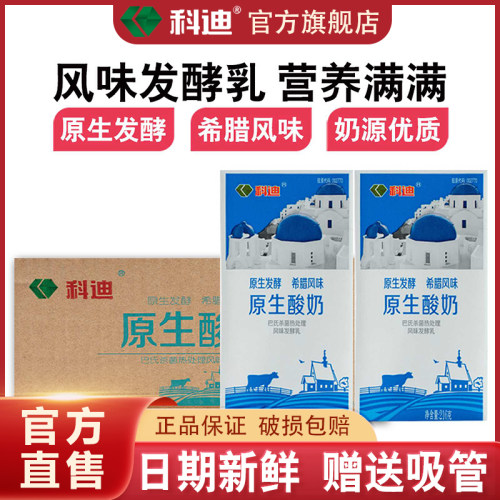 科迪酸奶原味河南商丘酸奶