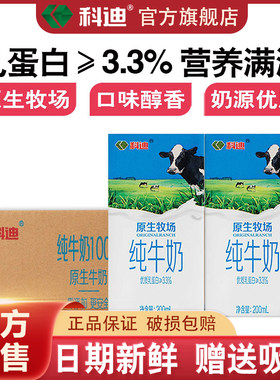 科迪乳业纯牛奶河南商丘