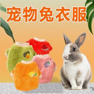 宠物兔子衣服保暖秋冬季给小兔子穿的衣服侏儒垂耳Y兔兔品衣服