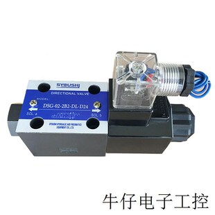 A220 2B2Z 2B2 电磁阀DSG DSG
