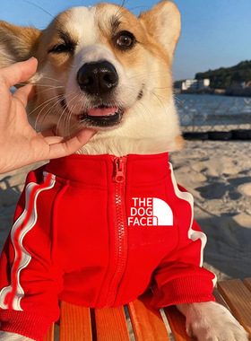 狗狗衣服2025新款秋冬泰迪比熊博美中大小型犬dogface潮牌狗卫衣