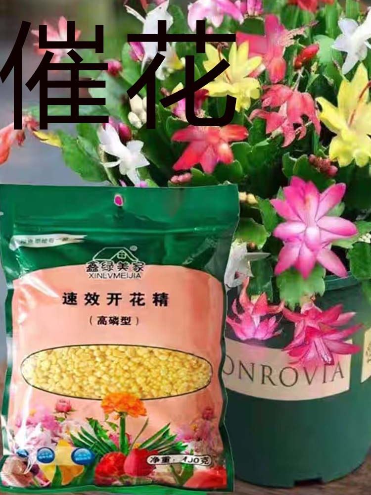 速效开花精高磷肥催花肥料促花月季桂花太阳花观花植物肥