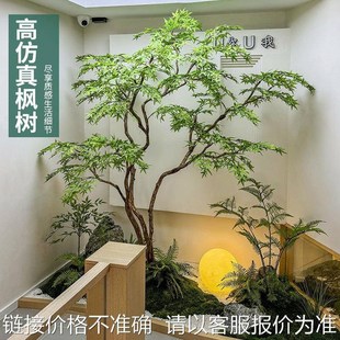 仿真绿枫树鸡爪槭枯山水盆景假树落地摆件茶室室内V绿植造景装饰