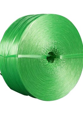 海斯迪克 塑料绳 撕裂绳捆扎捆绑绳 包E装绳打包绳 绿色 一卷(3KG