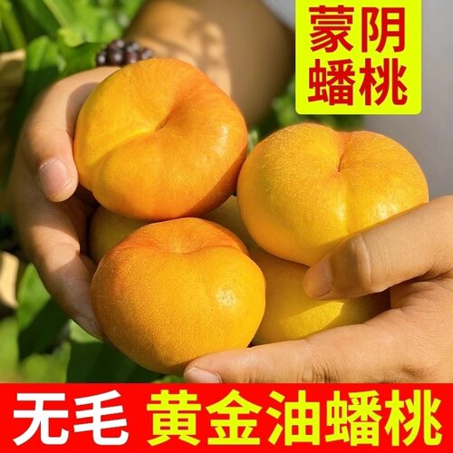 黄金蟠桃新鲜孕妇水果