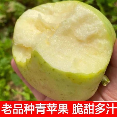 2025年沂蒙山老品种金帅青苹果酸甜脆青苹果小时候的味道包邮