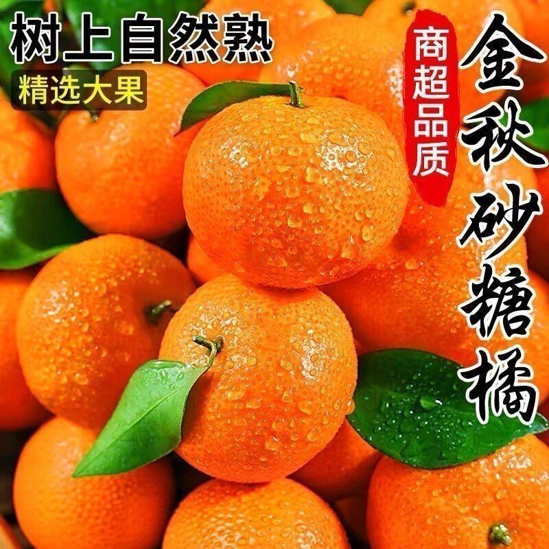 【坏果包赔/金秋砂糖橘】砂糖橘沙糖桔小橘子新鲜水果当季整箱