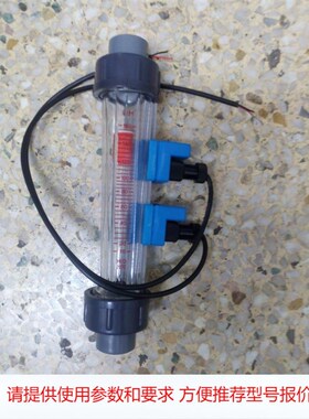 LZS-15K2塑料管浮子流量控制器,DN15K带上下限报警开关浮子流量计