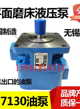 平面磨床M7130 M7q140杭州平磨磨头液压油泵YB1-100叶片泵包邮