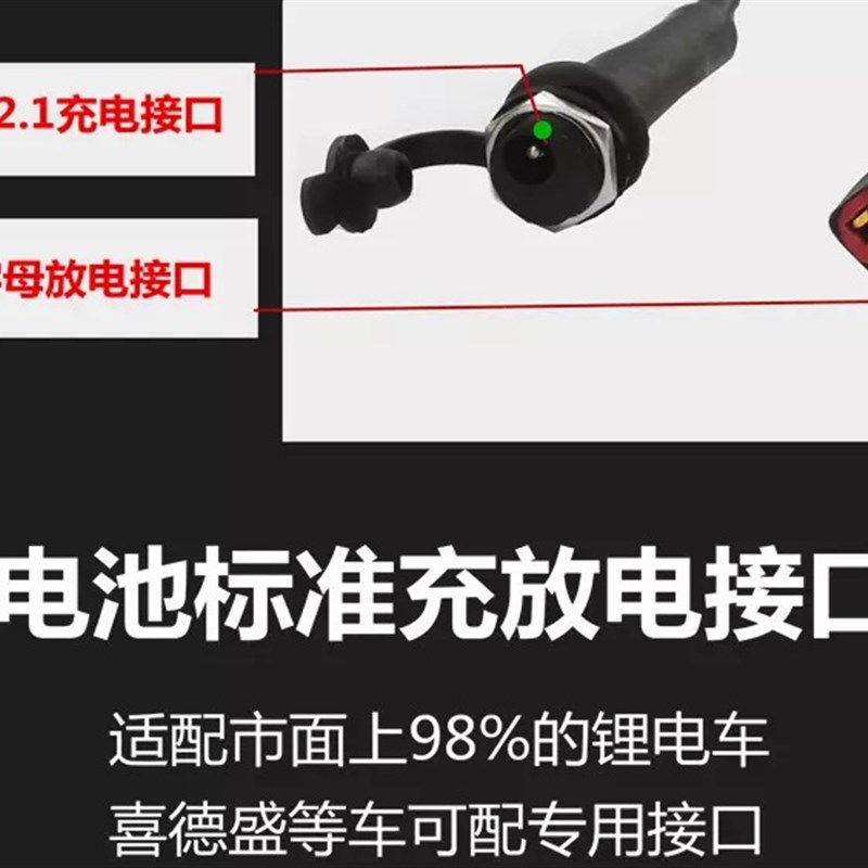 代驾折叠电动车锂电池48V36V24V代步自行车电瓶48V滑板车艾玛台铃