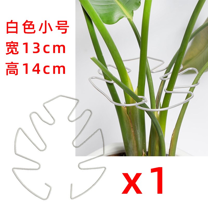 龟背竹支撑杆天堂鸟防倒伏固定器春羽水培植物枝干收聚拢定型支架