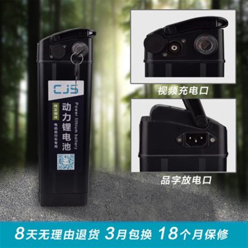 电动车锂电池48V电瓶10a20ah大容量外卖电瓶车电池代驾车银鱼电池