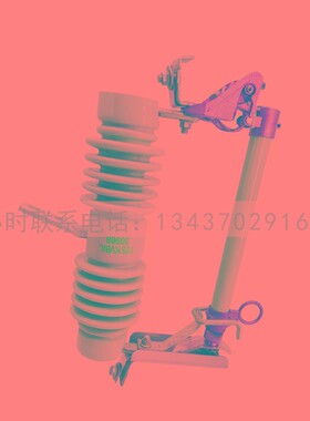 10KV户外高压跌落式熔断器令克保险开关 RW12-15/200A100A国标3只