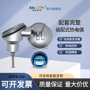 插入式 230 一体化PT100铂热电阻带温度变送器 管道温度传感器WZPB