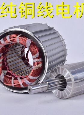 脚手架升降机专用电机双绳无线遥控微型电动葫芦220VPA800-PA1500