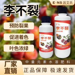 因艾氏李不裂蔷薇科李属植物种植预防裂果促进着色叶色浓绿水溶肥