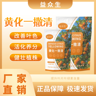 益众生黄化一撒清改善叶片黄化转绿补充营养强健树势颗粒微生物肥